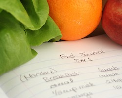 food journal